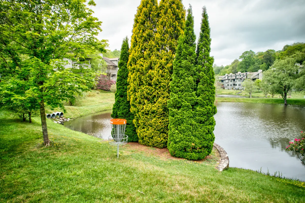 An outdoor scene featuring a disc golf basket set beside a tranquil pond surrounded by evergreen trees. The area is lush and designed for outdoor recreation, suggesting both active and leisurely pursuits.