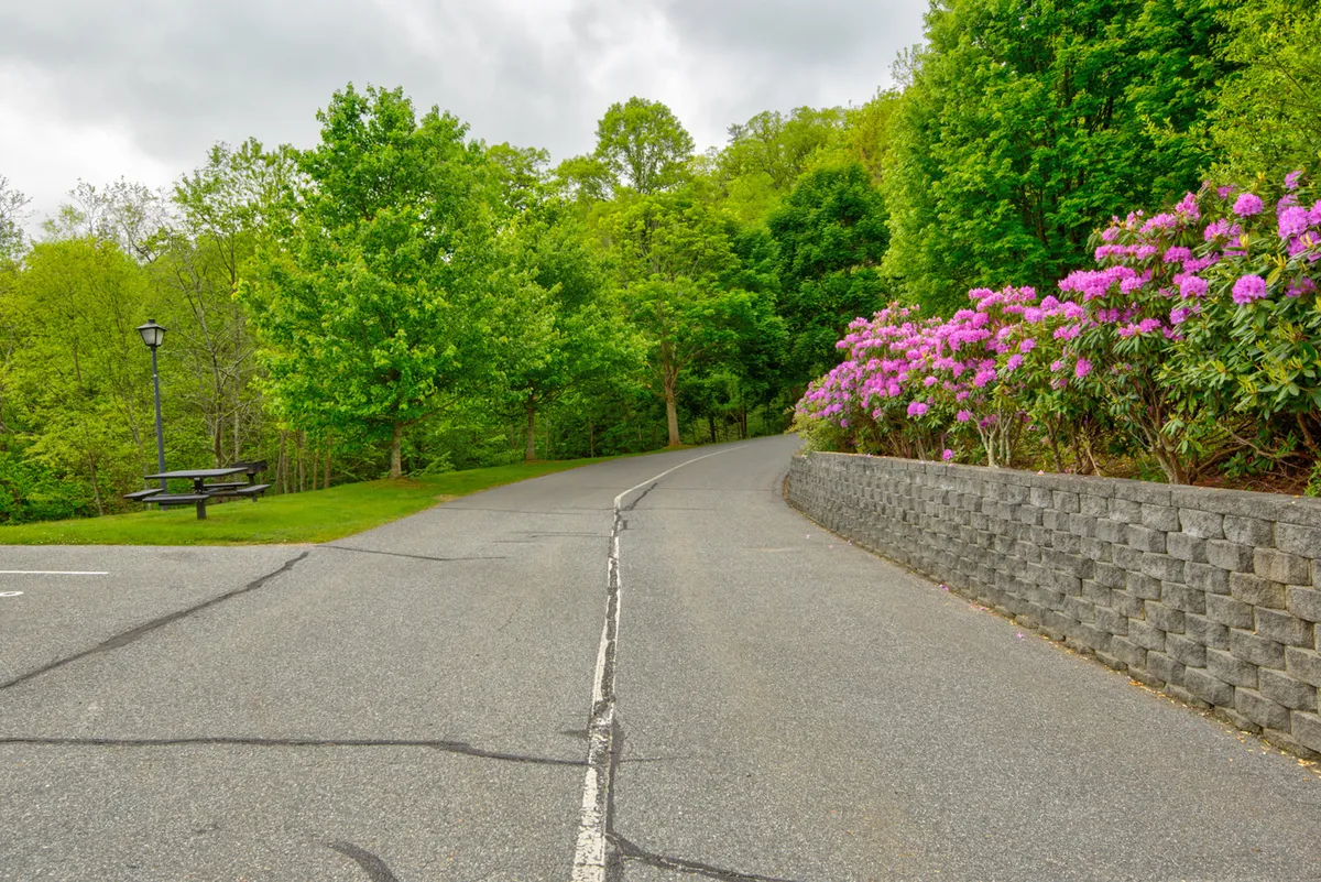 A peaceful pathway winding through flowering bushes and greenery, with a park bench and lamp post suggesting rest spots along the way. The setting is ideal for walking, jogging, or enjoying a quiet outdoor moment.